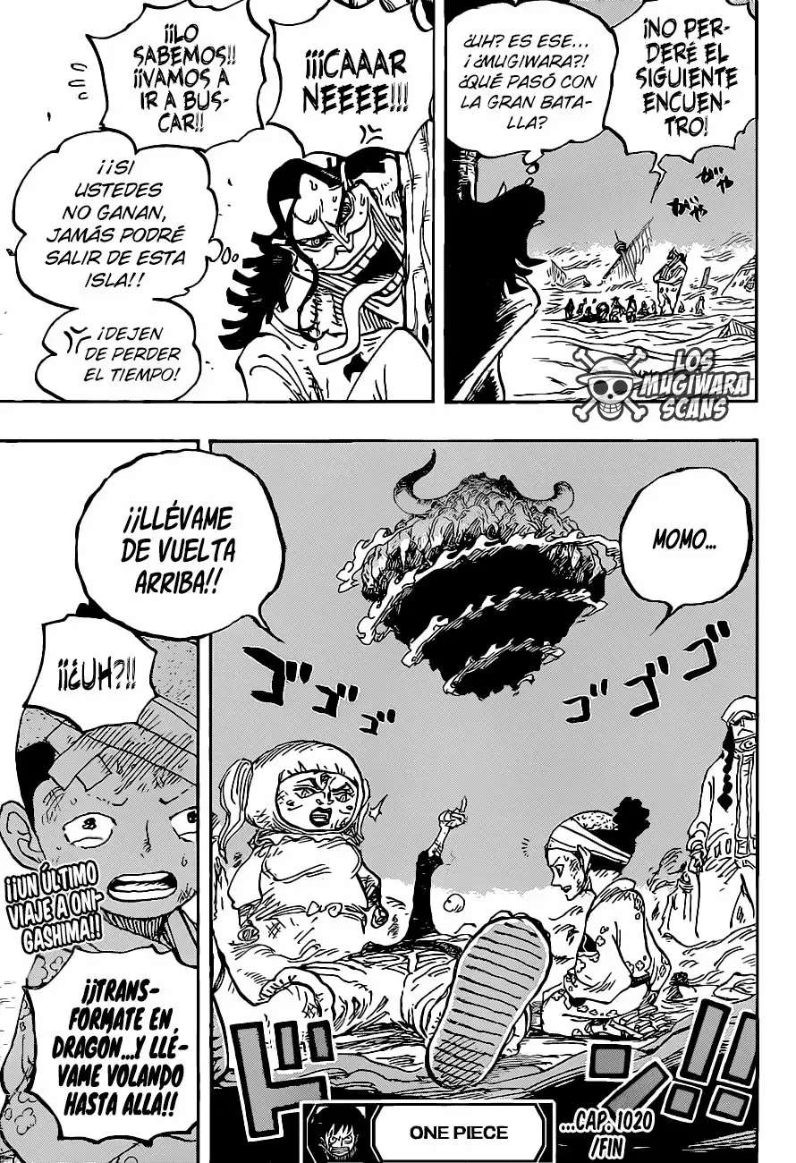 One Piece Capitulo 1020.5 página 18