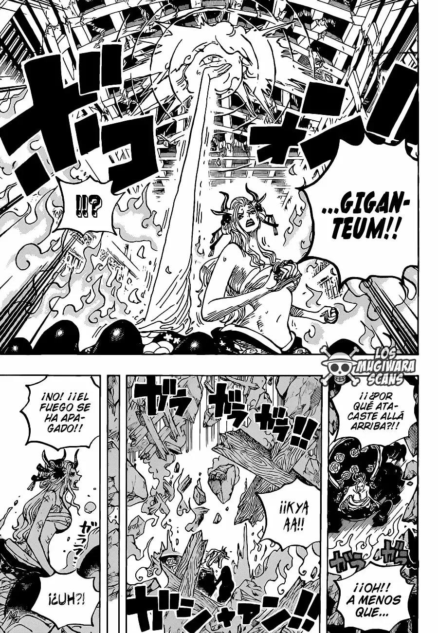 One Piece Capitulo 1021.5 página 13