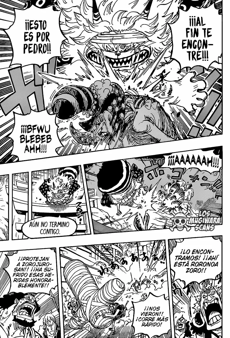 One Piece Capitulo 1022.5 página 13