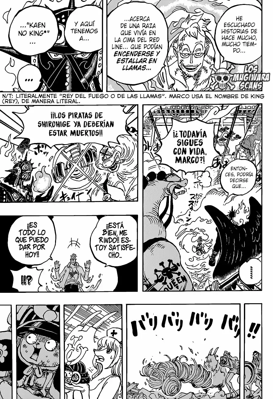 One Piece Capitulo 1022.5 página 15