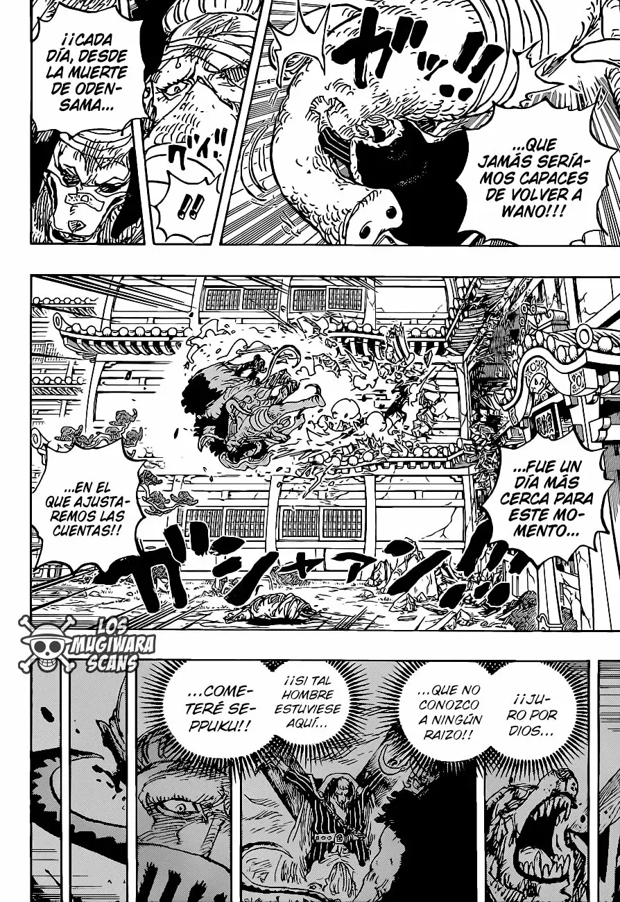 One Piece Capitulo 1023.5 página 14