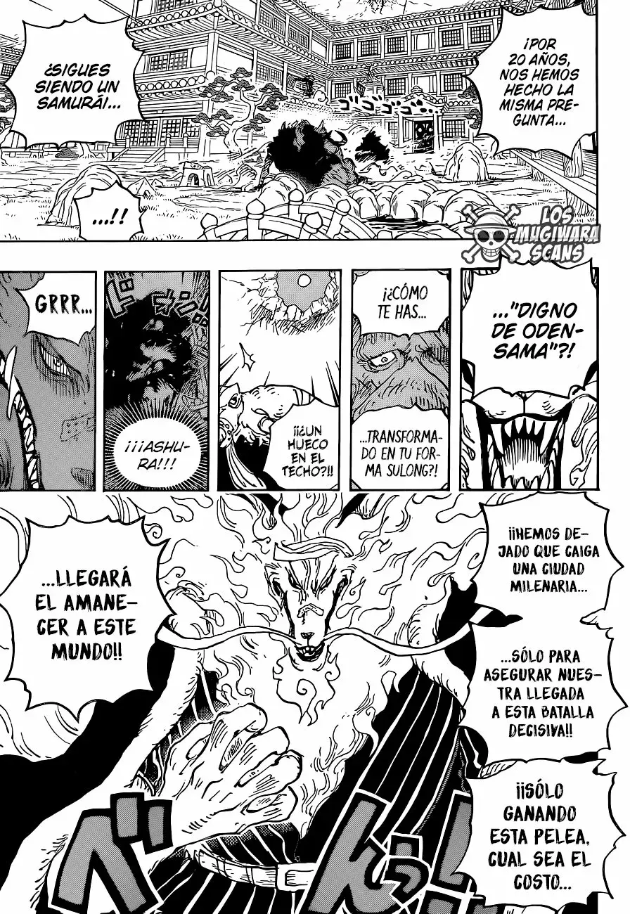 One Piece Capitulo 1023.5 página 15