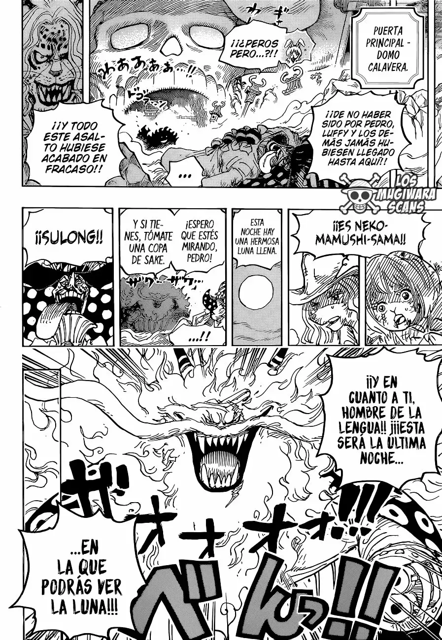 One Piece Capitulo 1023.5 página 16