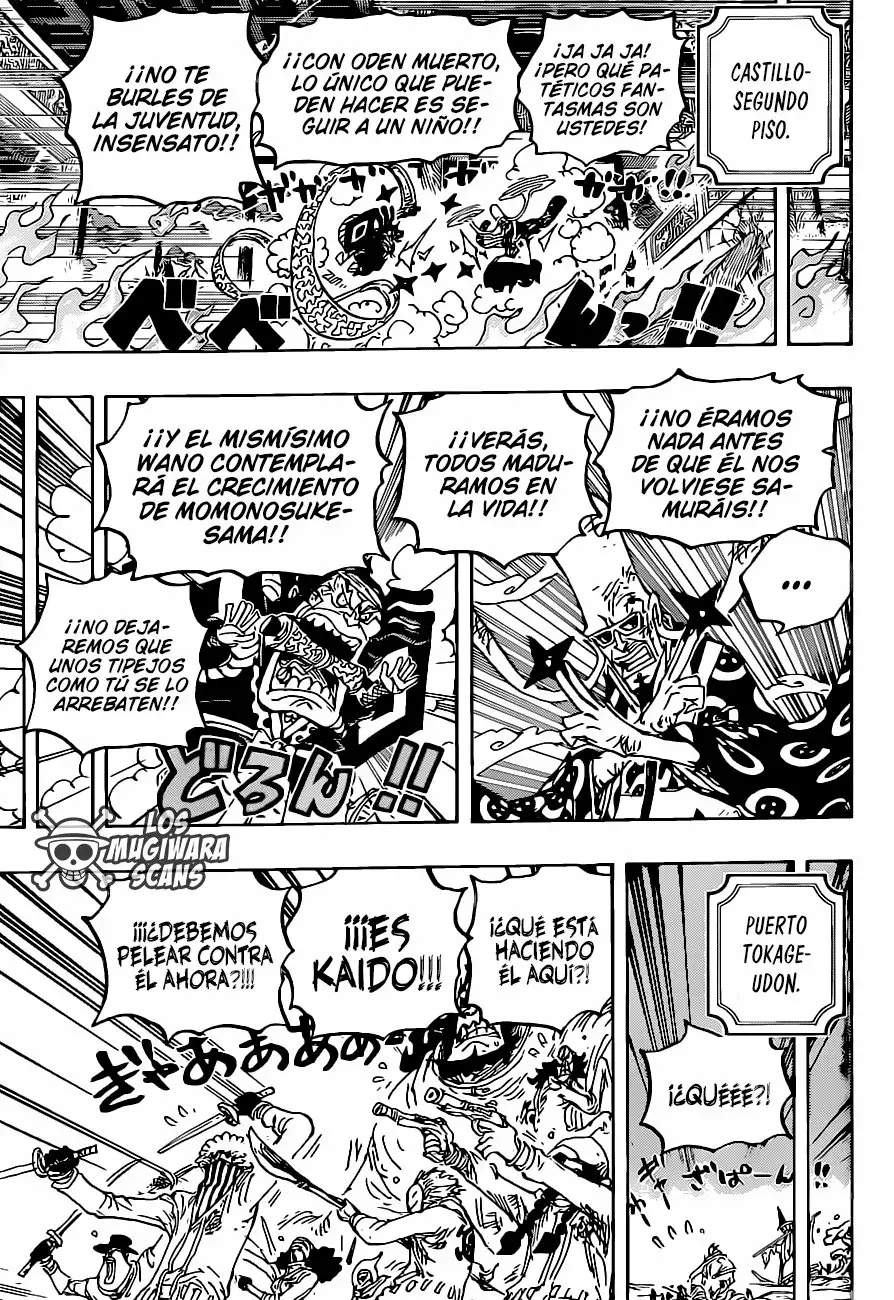 One Piece Capitulo 1023.5 página 17