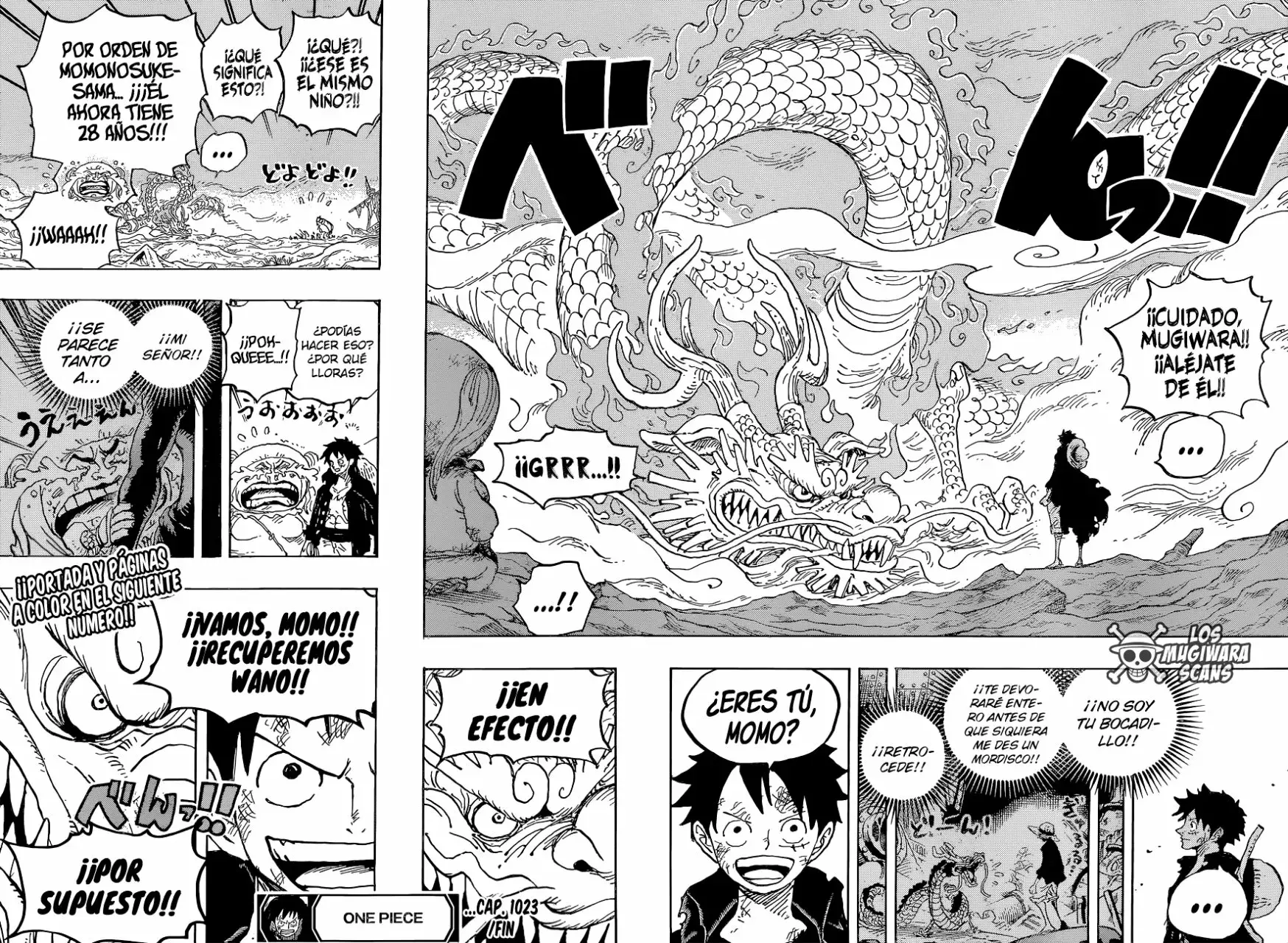 One Piece Capitulo 1023.5 página 18