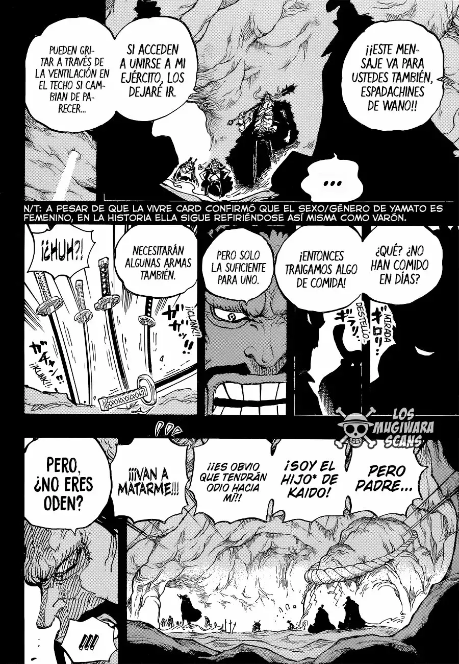 One Piece Capitulo 1024.5 página 13