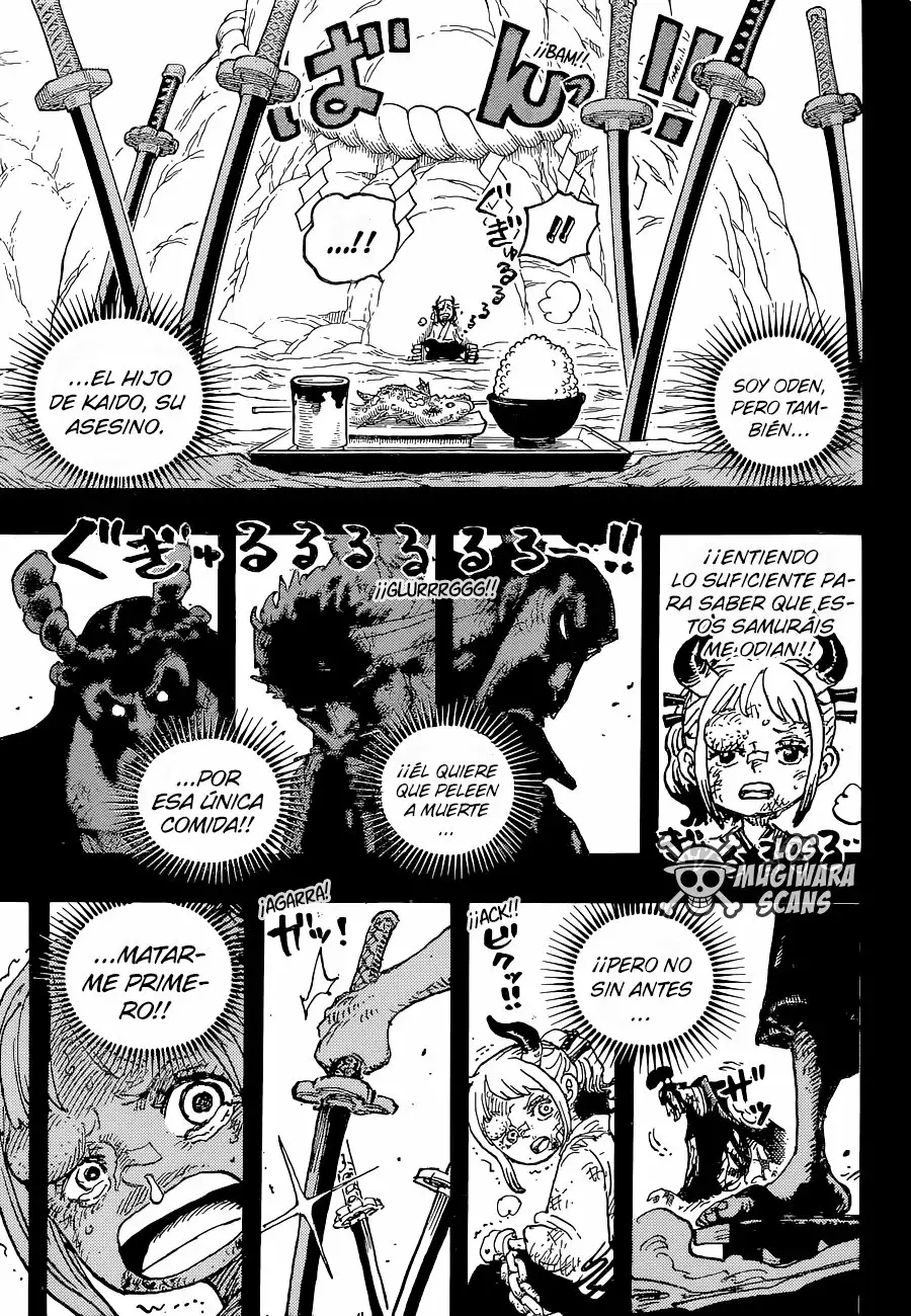 One Piece Capitulo 1024.5 página 14
