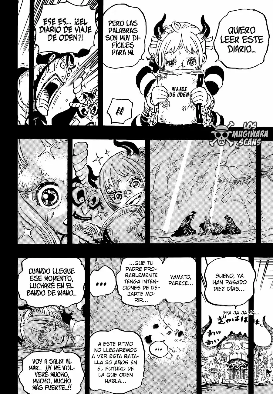 One Piece Capitulo 1024.5 página 17