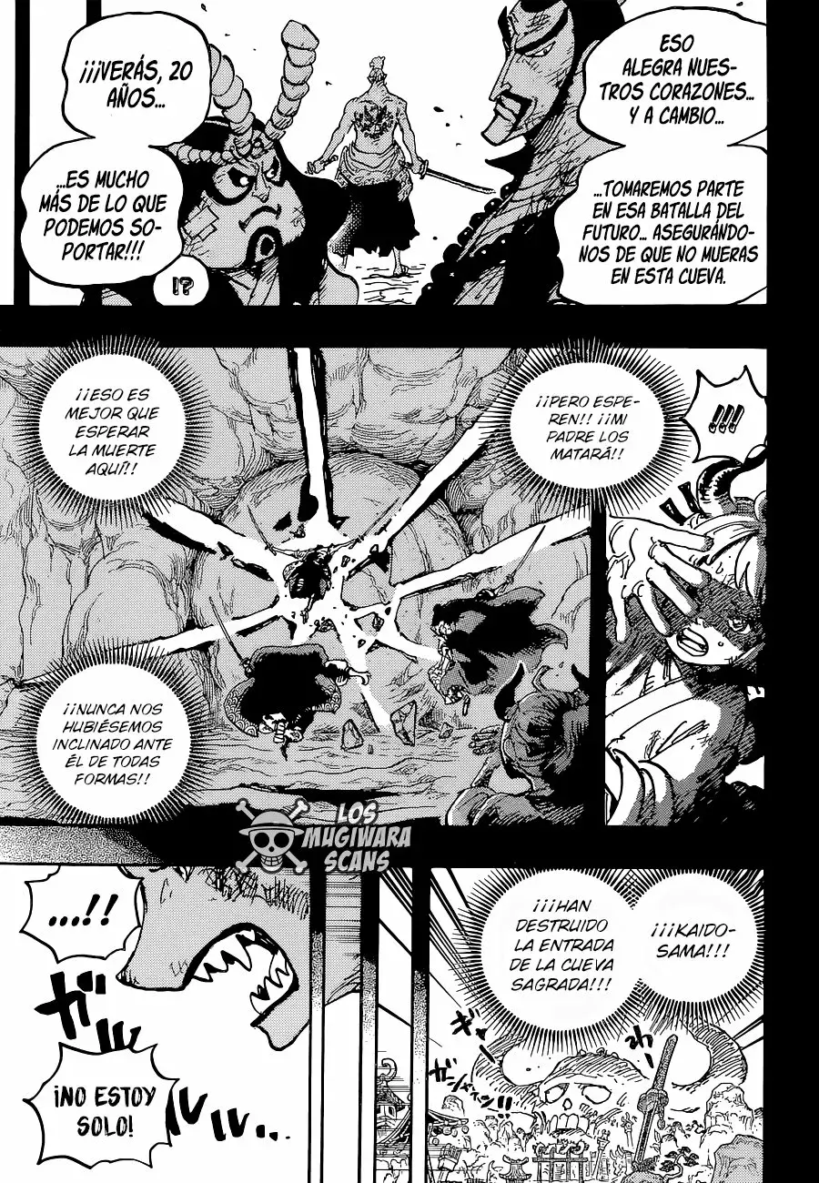 One Piece Capitulo 1024.5 página 18