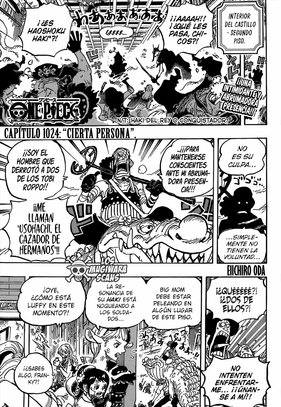 One Piece Capitulo 1024.5 página 4
