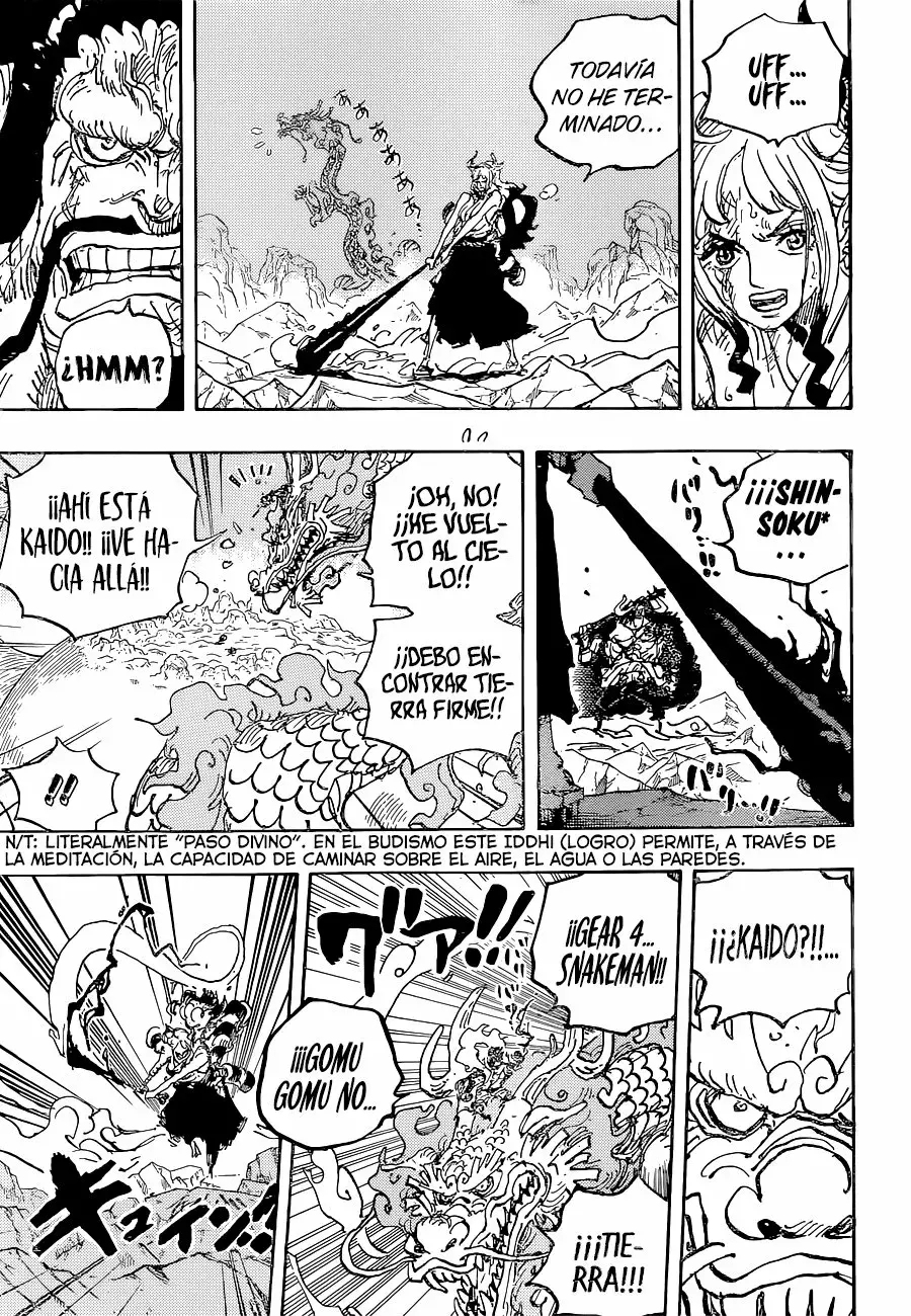 One Piece Capitulo 1025 página 14