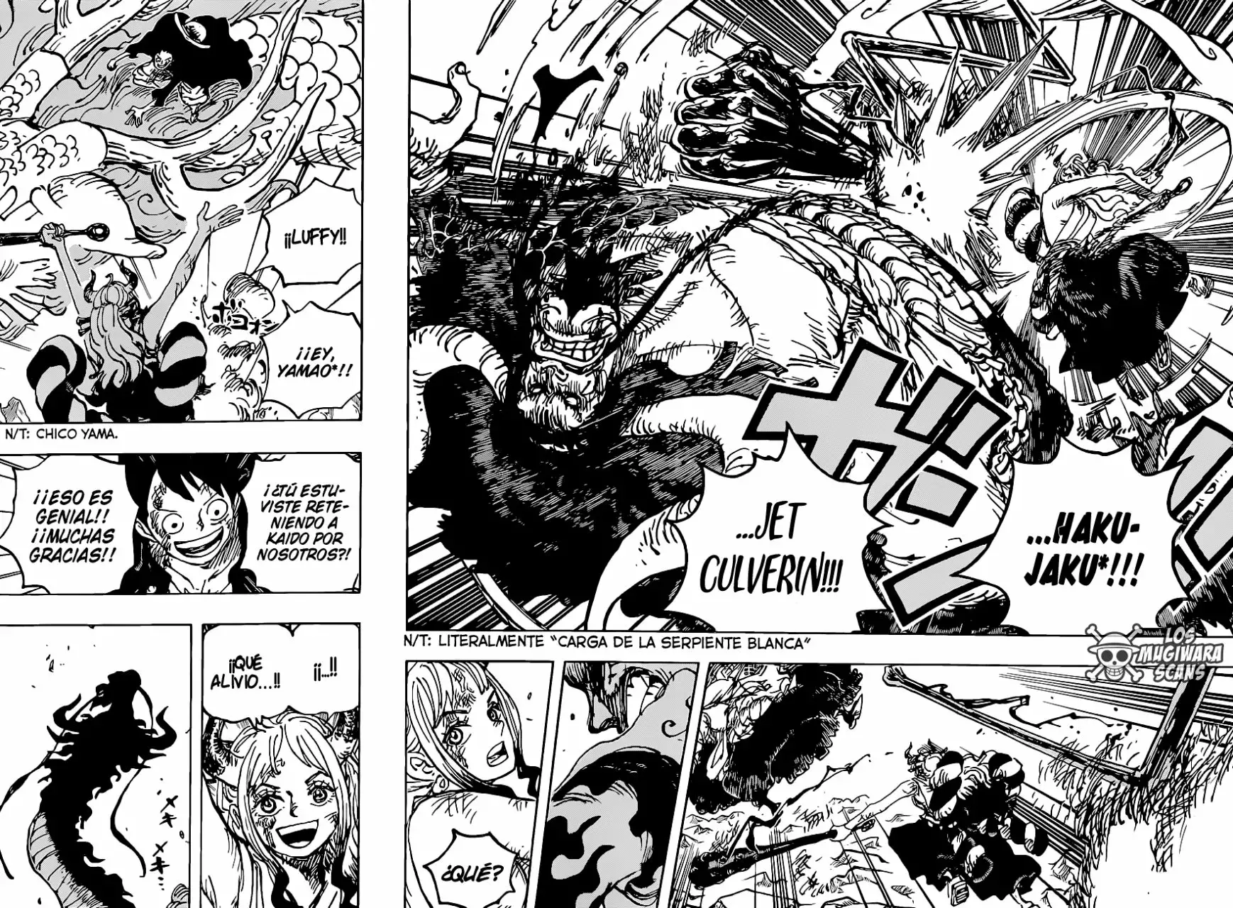 One Piece Capitulo 1025 página 15