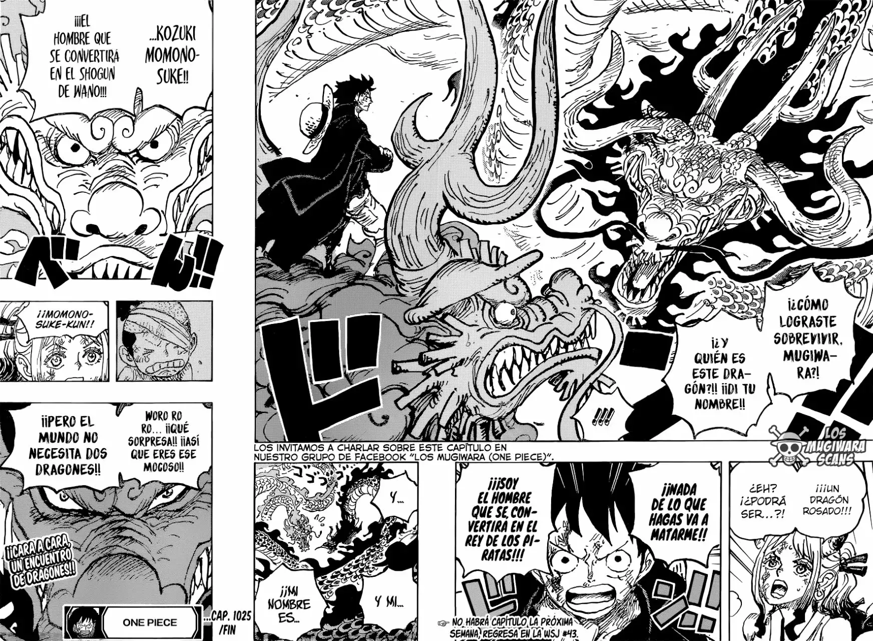 One Piece Capitulo 1025 página 16