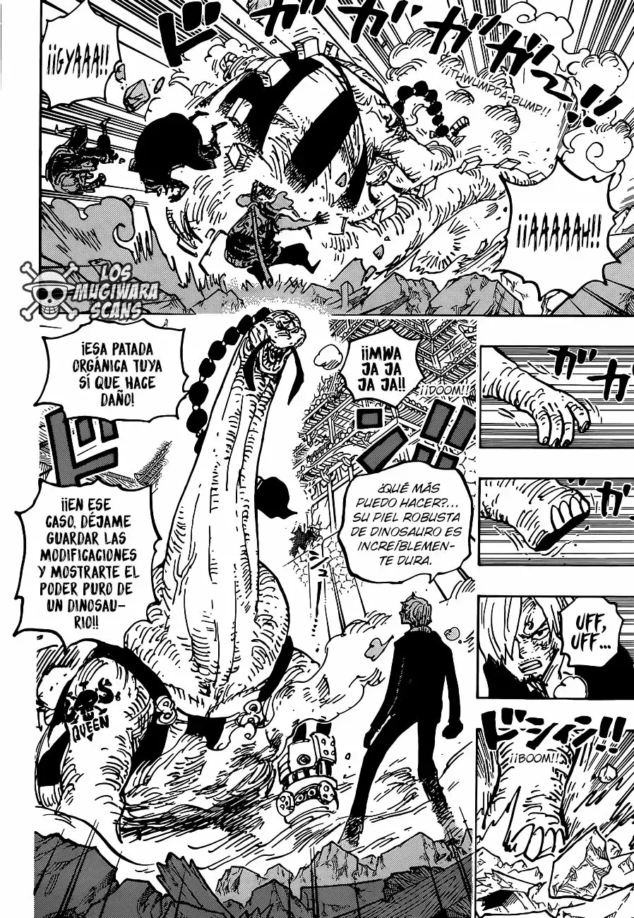 One Piece Capitulo 1028.2 página 13