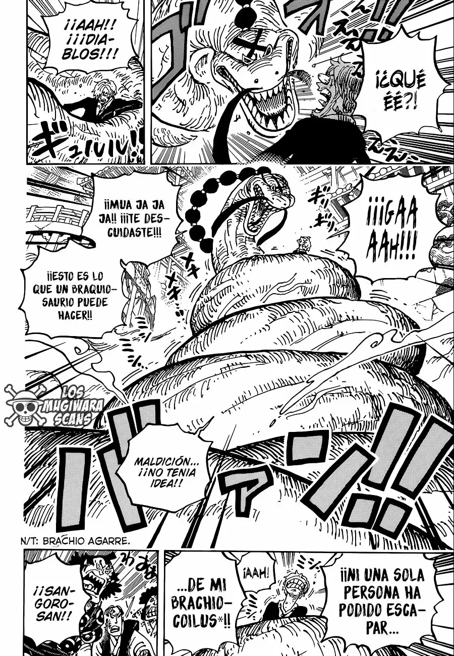 One Piece Capitulo 1028.2 página 15