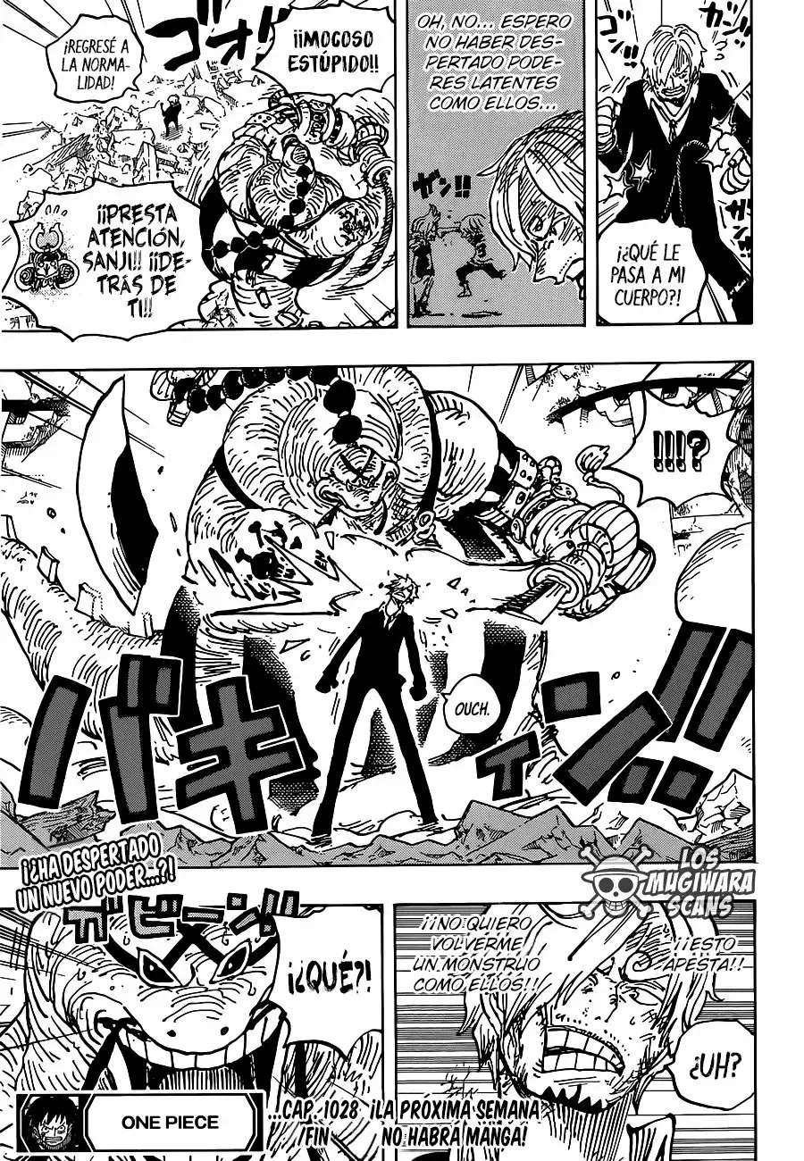 One Piece Capitulo 1028.2 página 18