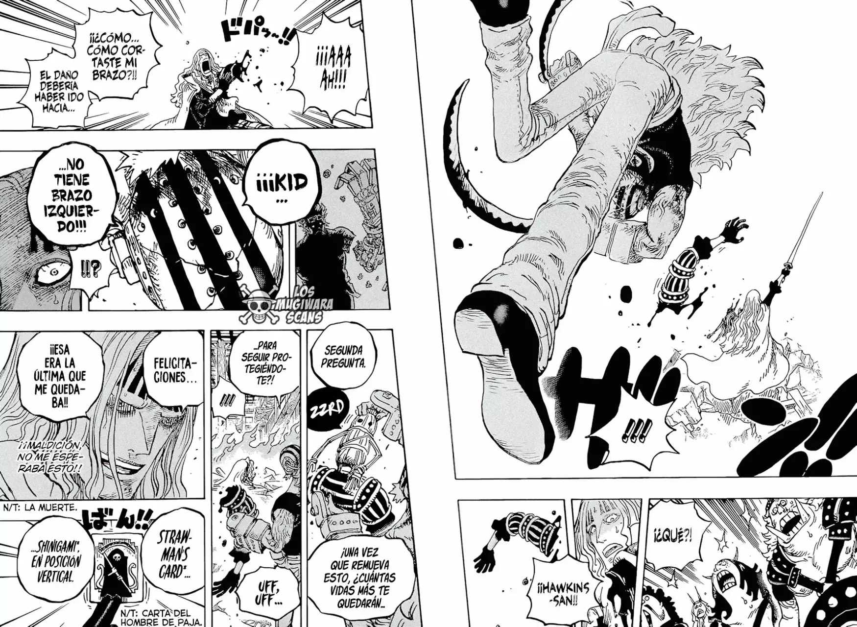 One Piece Capitulo 1029.5 página 13