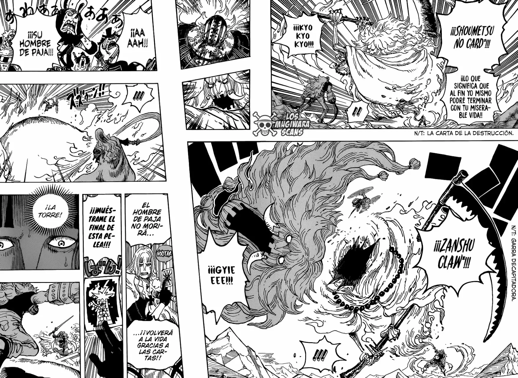 One Piece Capitulo 1029.5 página 14