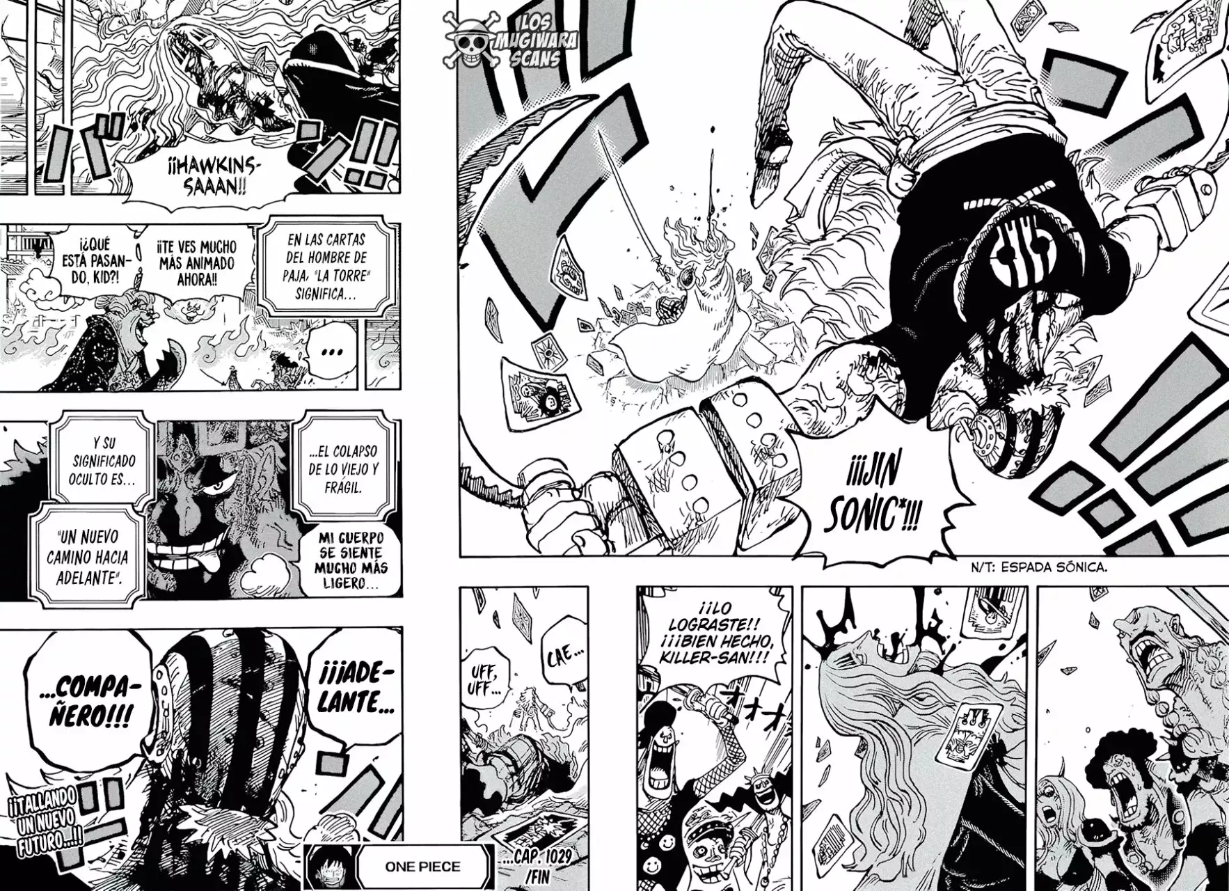 One Piece Capitulo 1029.5 página 15