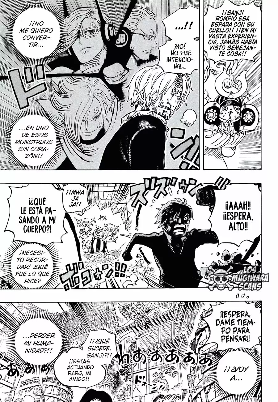 One Piece Capitulo 1029.5 página 4