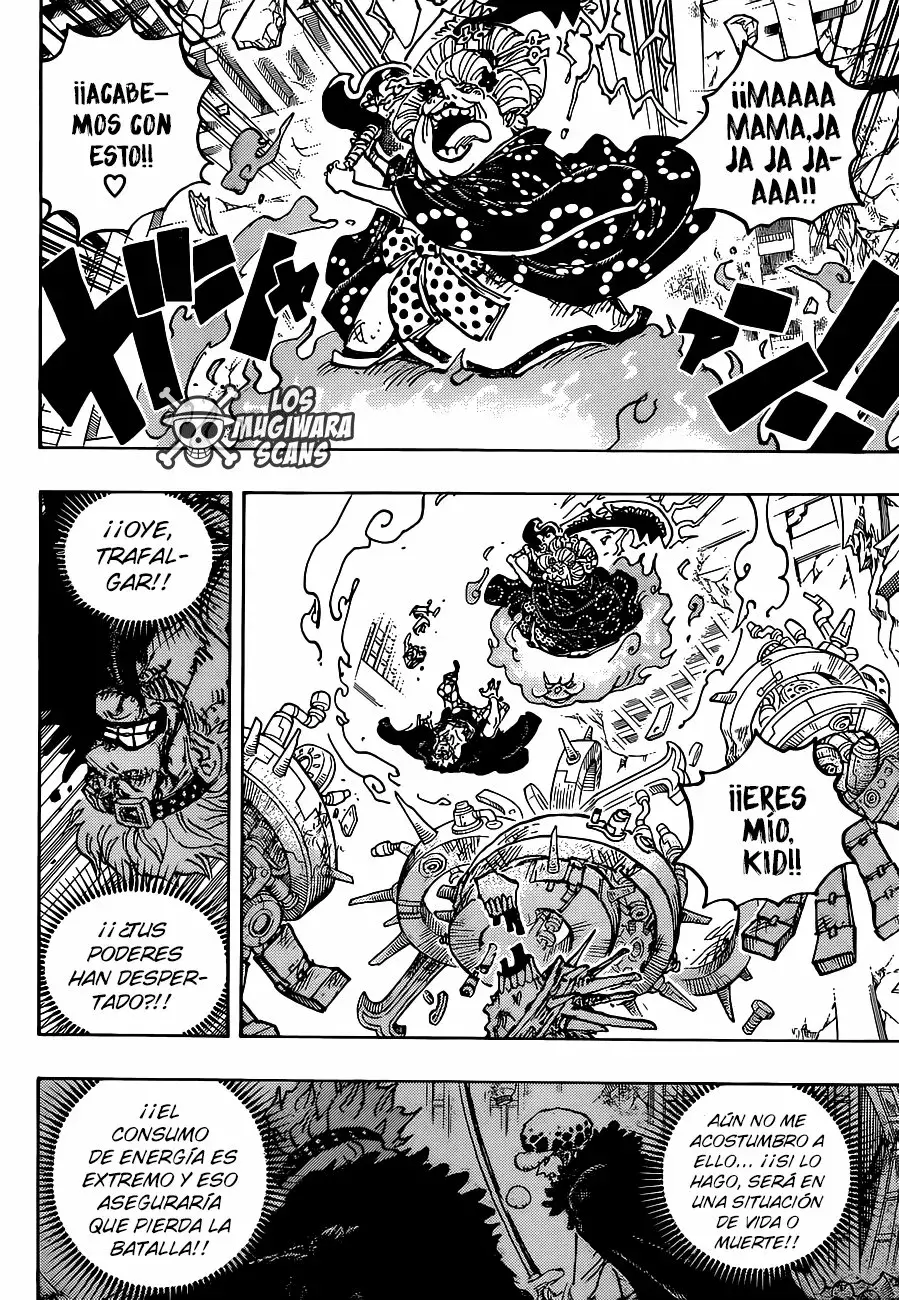 One Piece Capitulo 1030.5 página 14