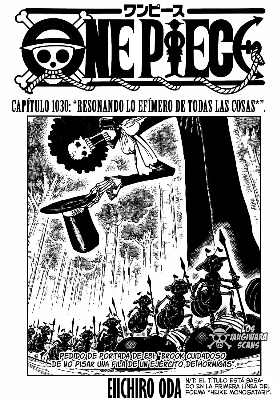 One Piece Capitulo 1030.5 página 2