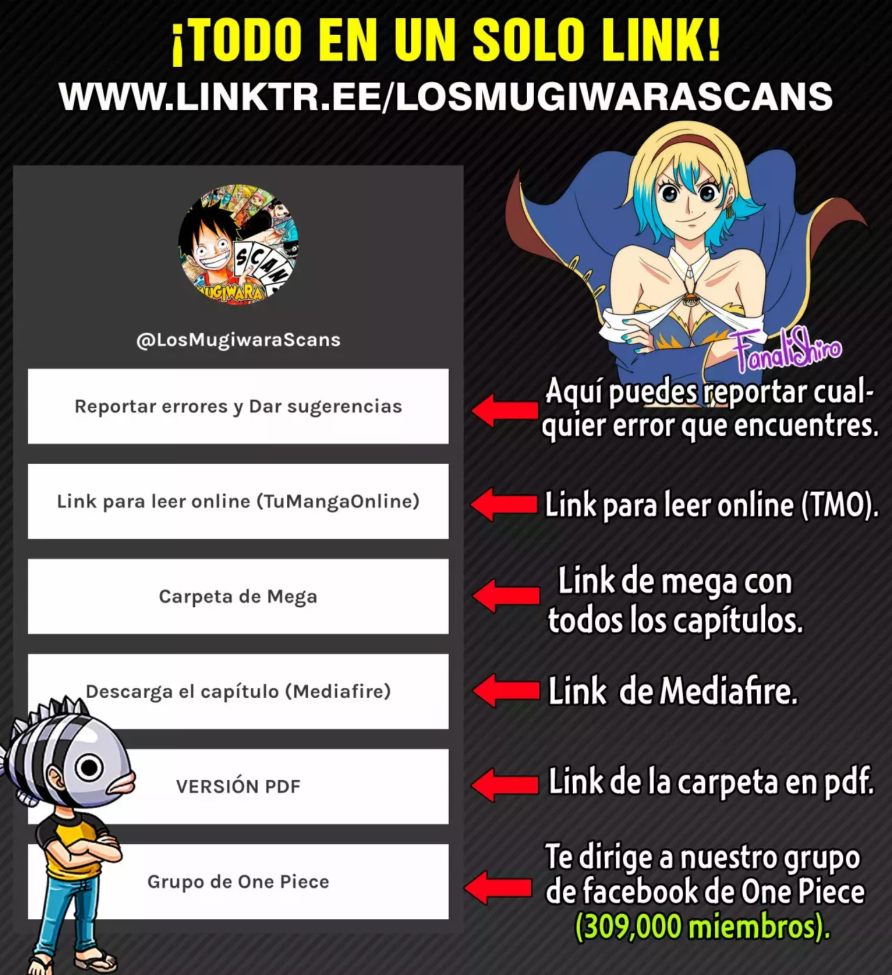 One Piece Capitulo 1030.5 página 20