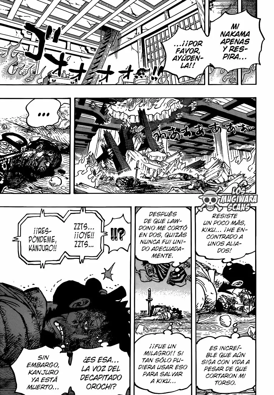 One Piece Capitulo 1030.5 página 7