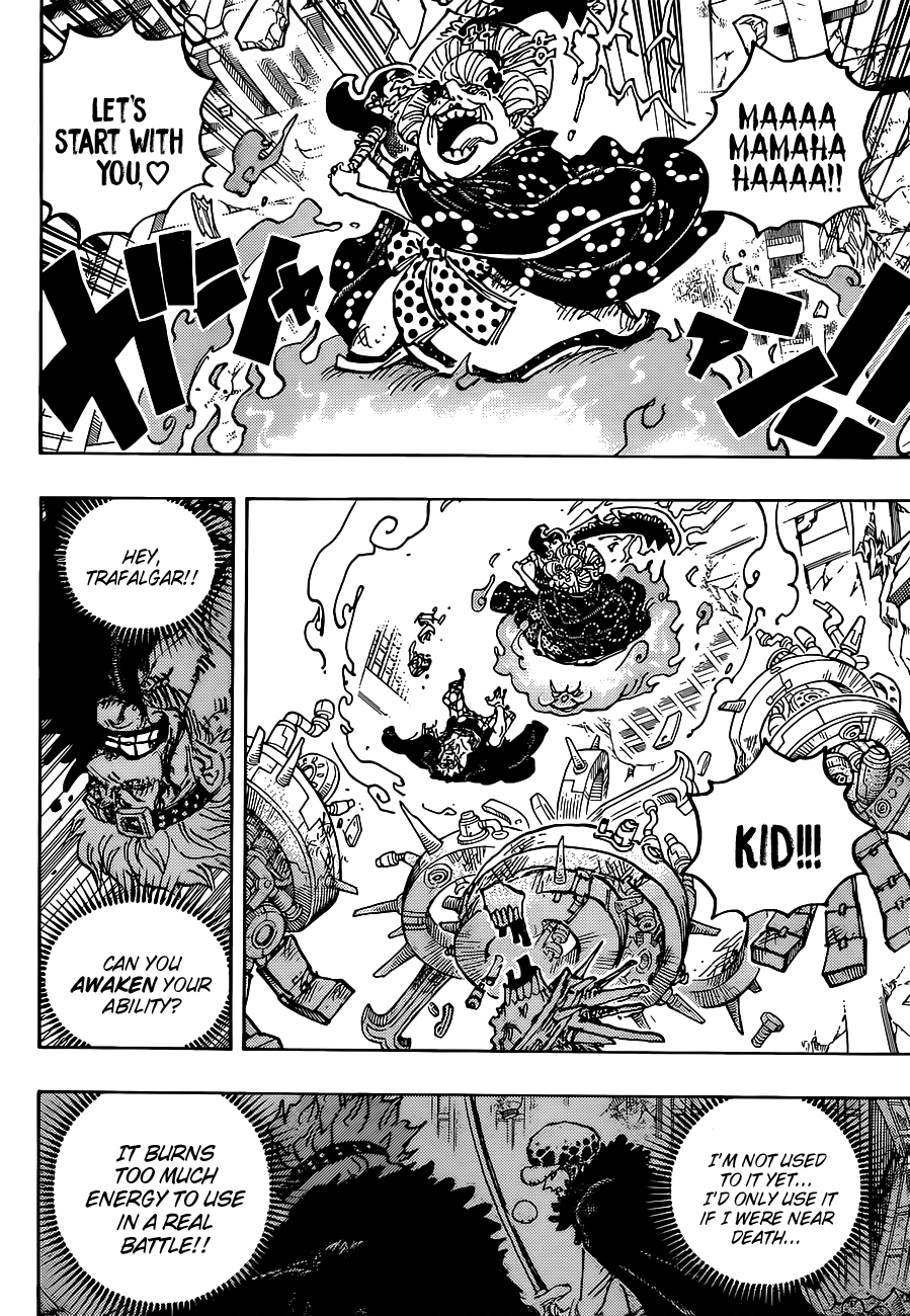 One Piece Capitulo 1030 página 13