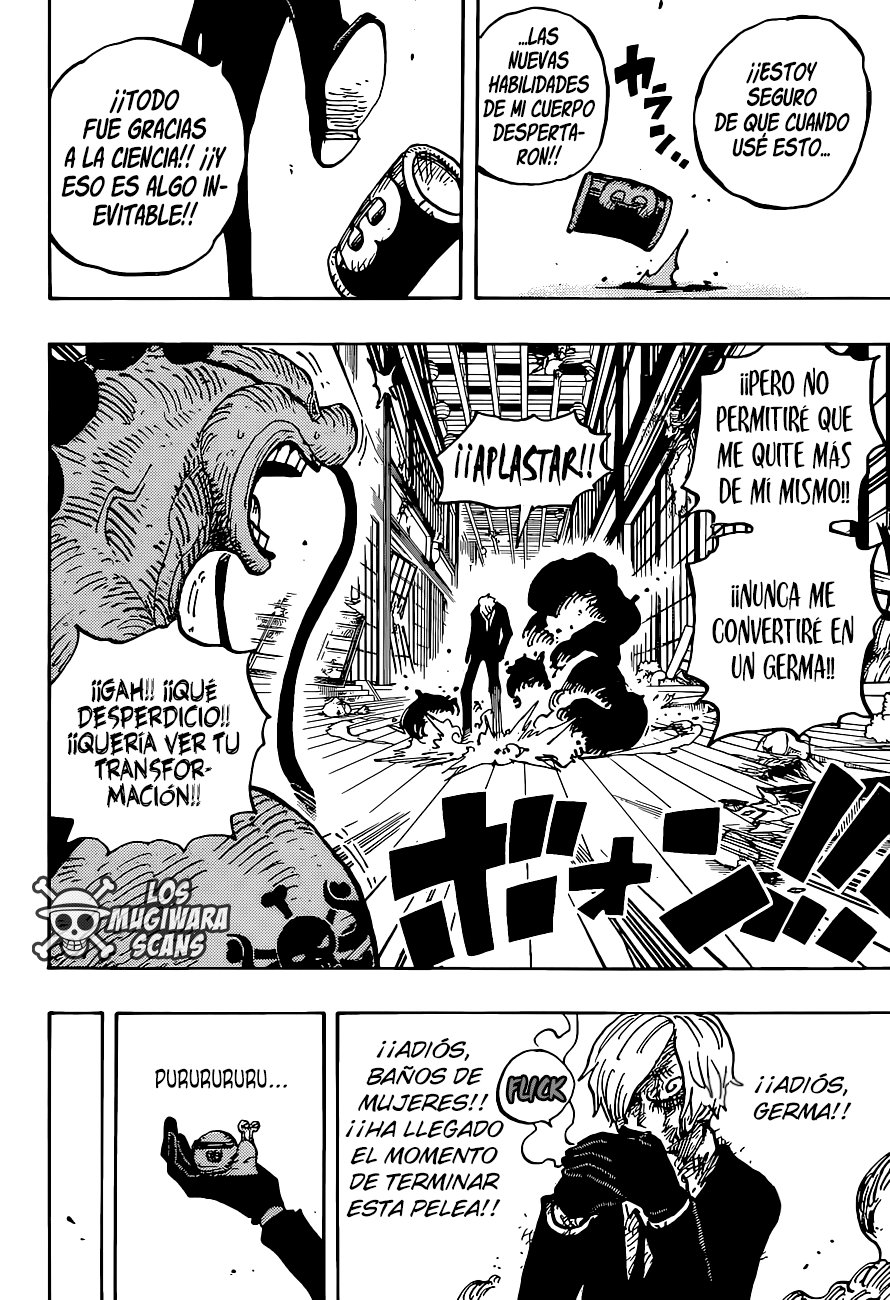 One Piece Capitulo 1031 página 17