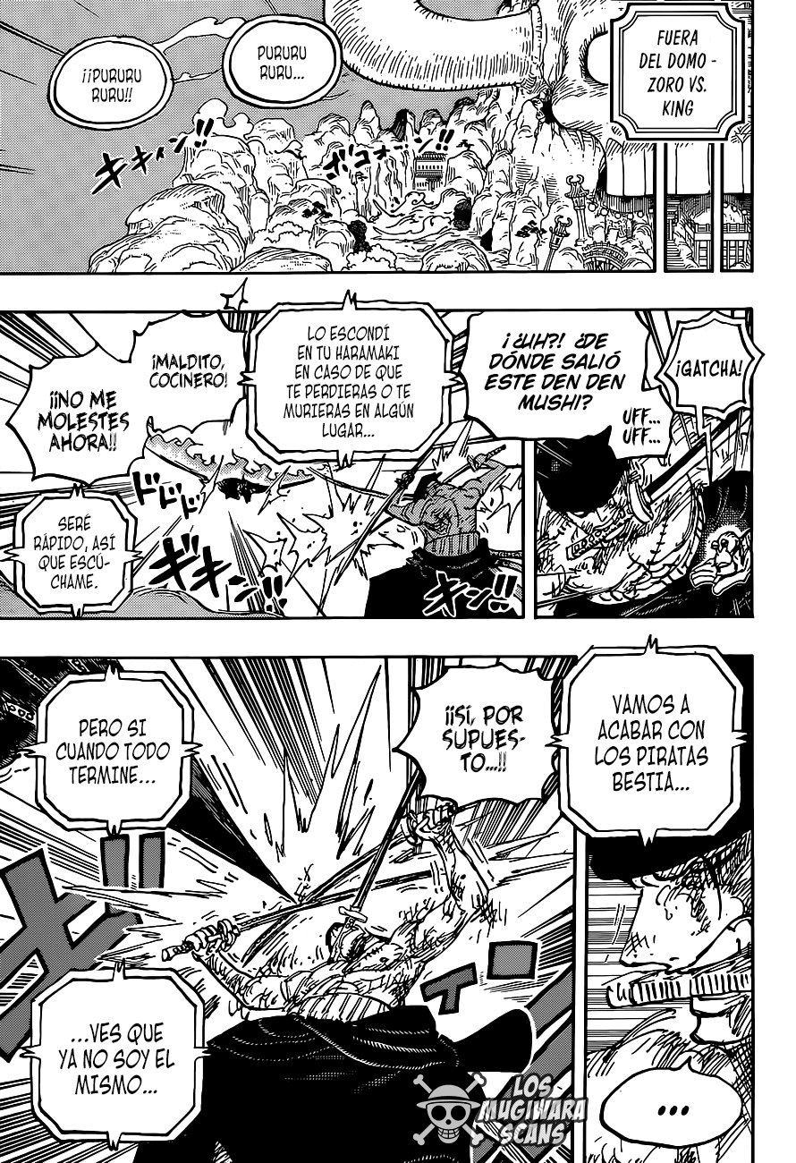 One Piece Capitulo 1031 página 18