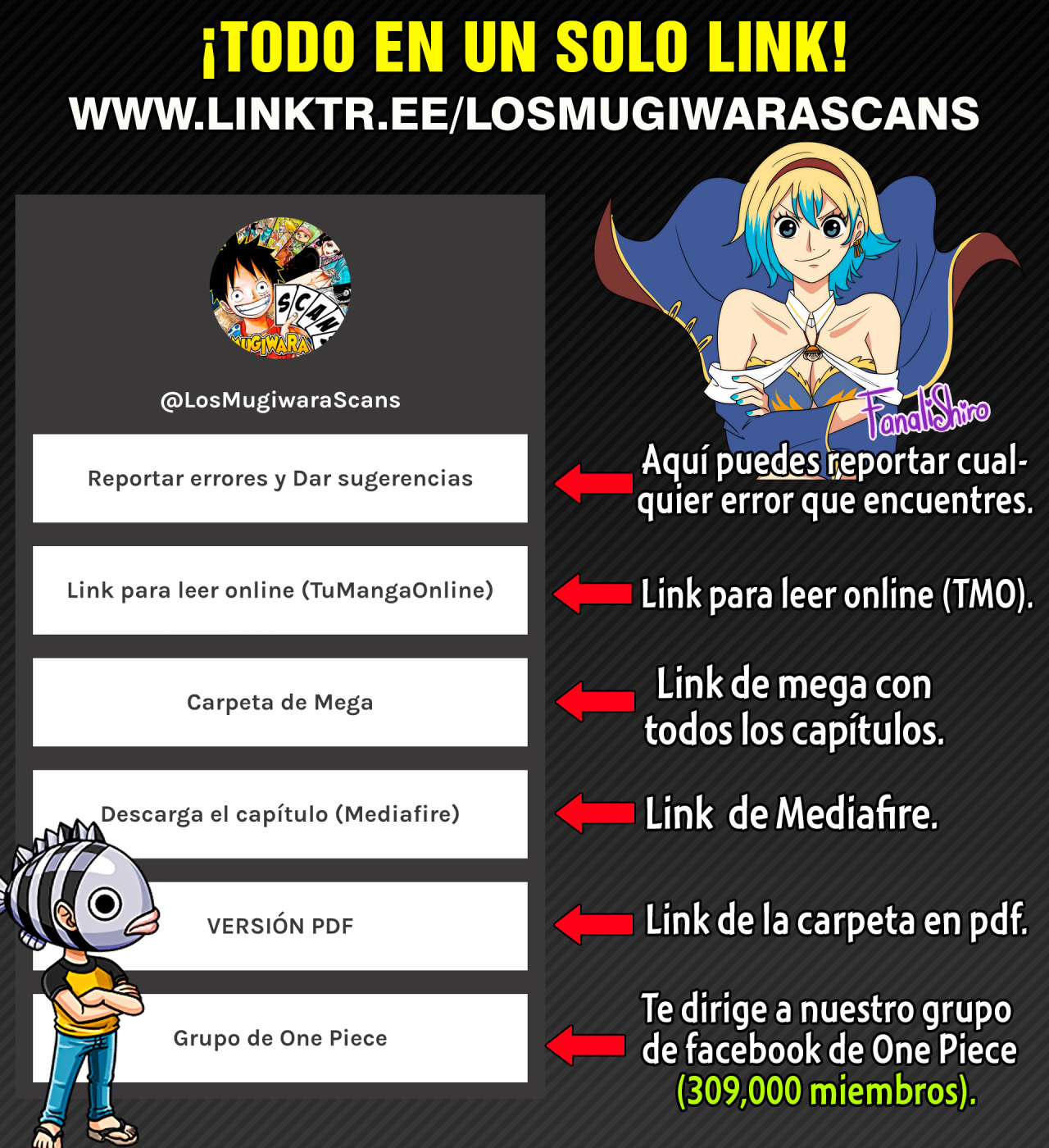 One Piece Capitulo 1031 página 22