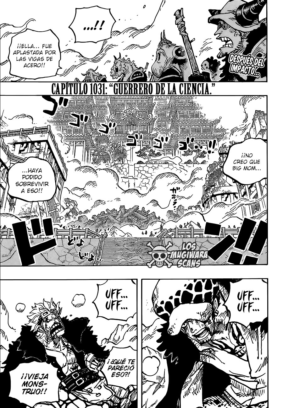 One Piece Capitulo 1031 página 5