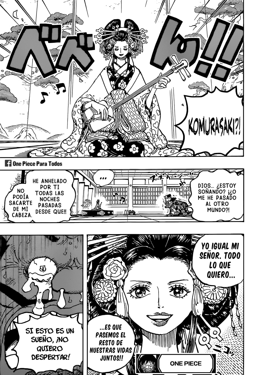 One Piece Capitulo 1032 página 17