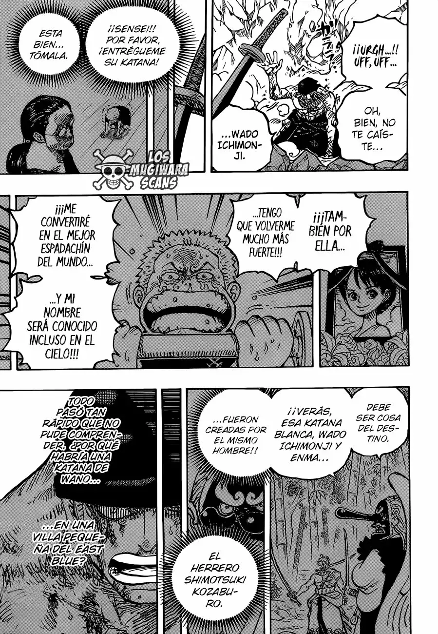 One Piece Capitulo 1033.5 página 10