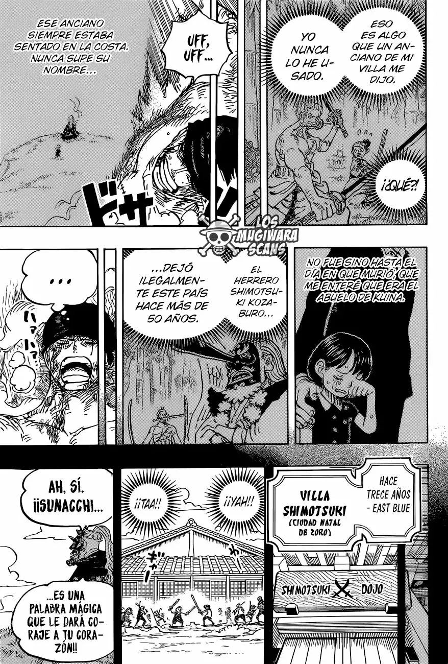 One Piece Capitulo 1033.5 página 12