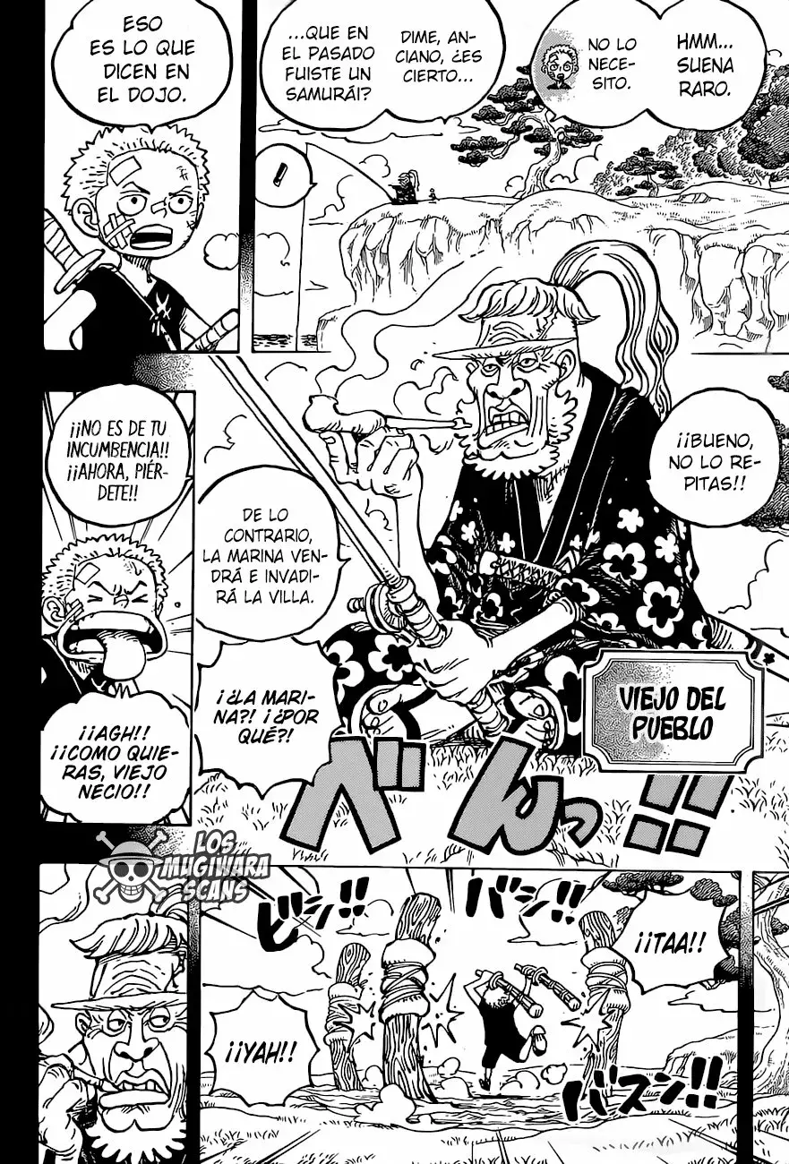 One Piece Capitulo 1033.5 página 13