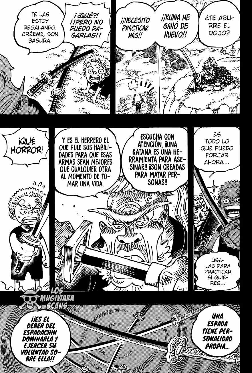 One Piece Capitulo 1033.5 página 14