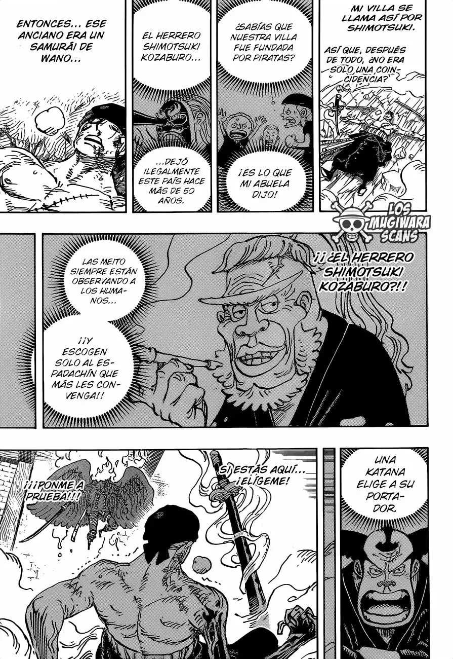 One Piece Capitulo 1033.5 página 16