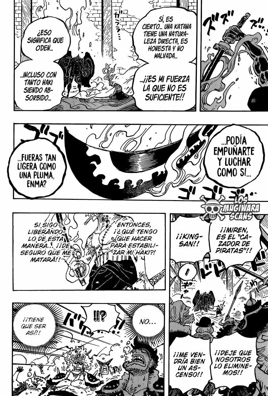 One Piece Capitulo 1033.5 página 17