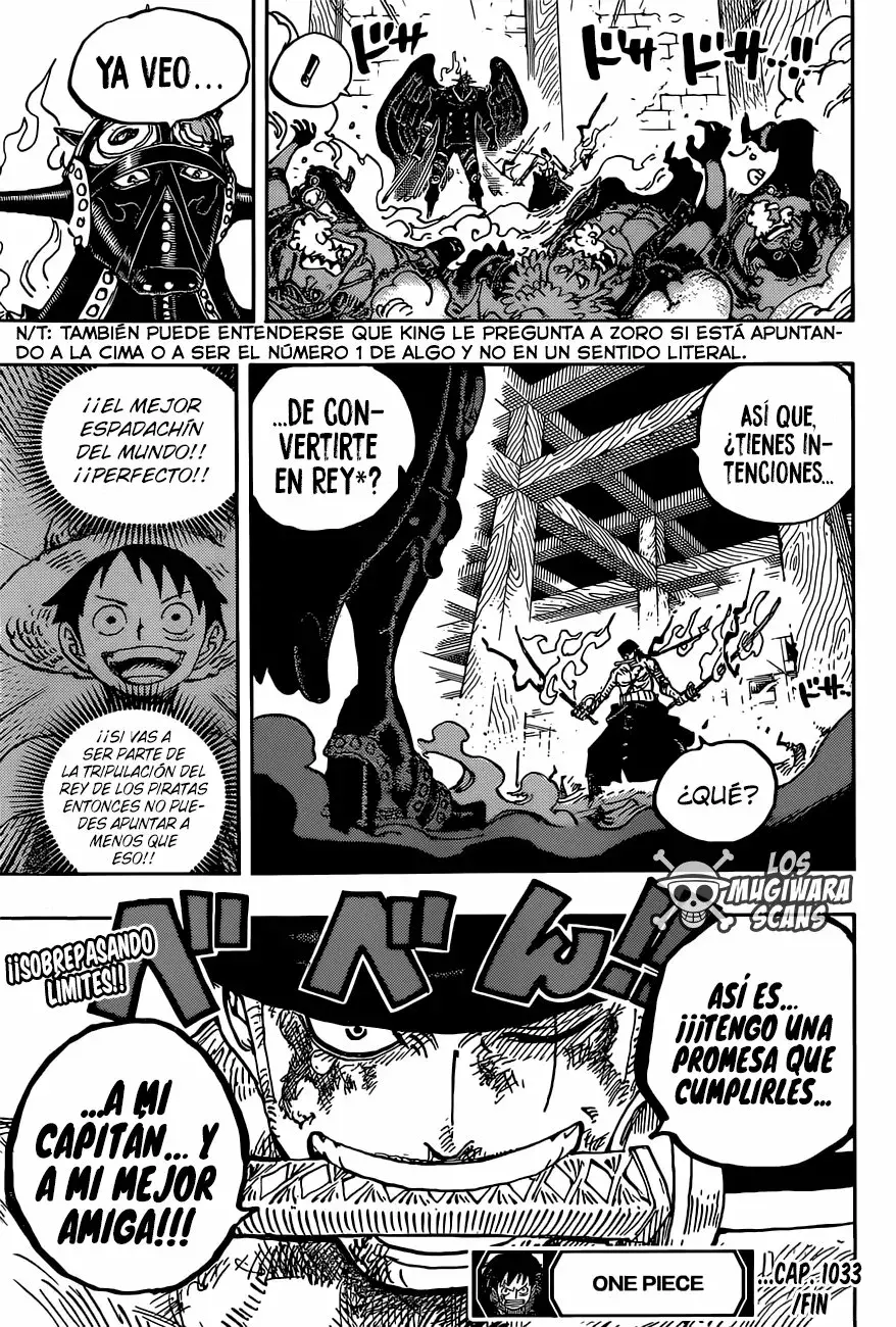 One Piece Capitulo 1033.5 página 18