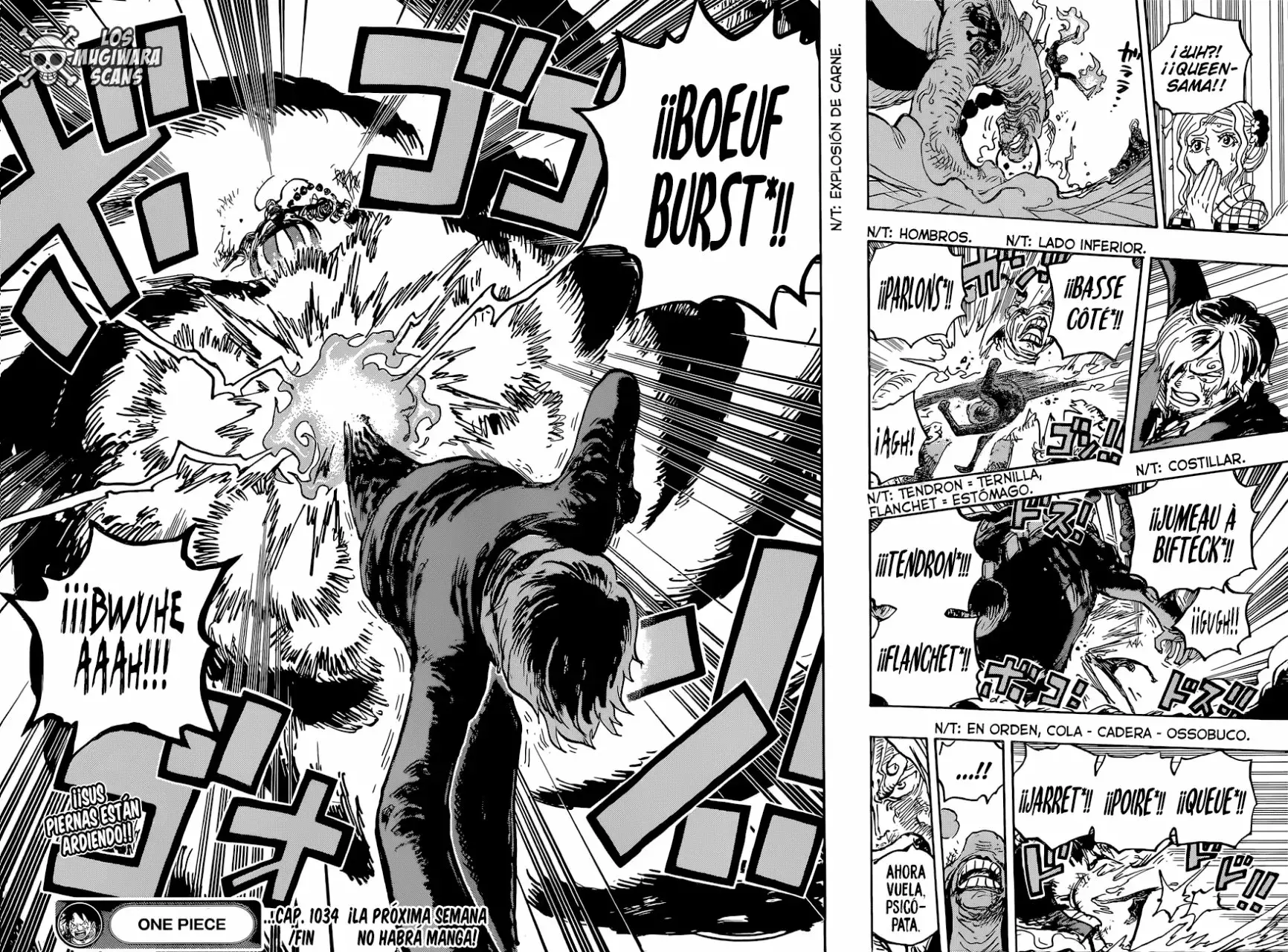 One Piece Capitulo 1034.2 página 14