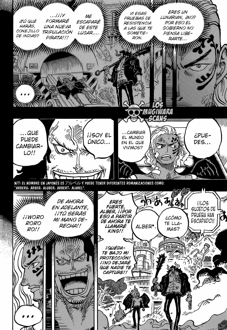 One Piece Capitulo 1035.5 página 12