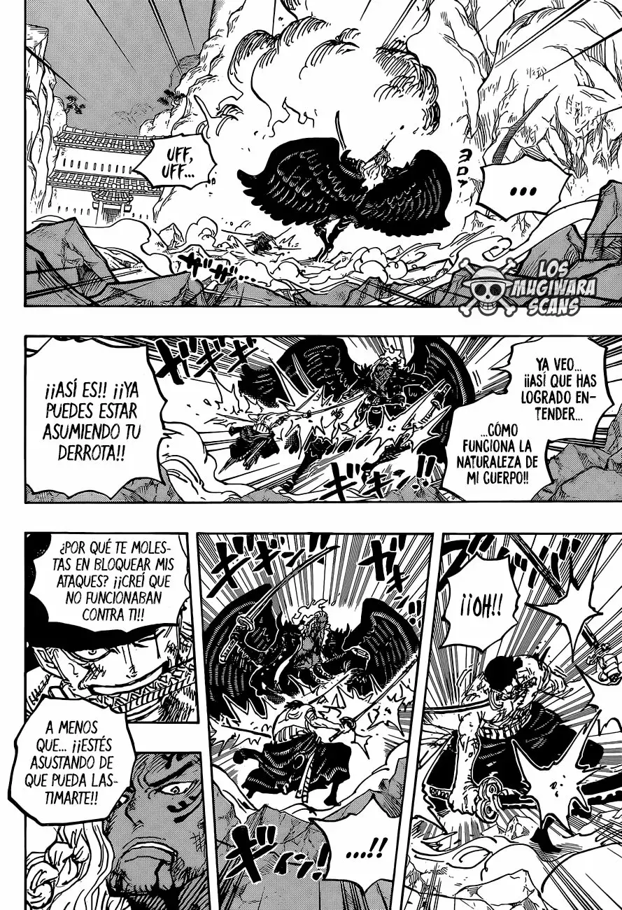 One Piece Capitulo 1035.5 página 16