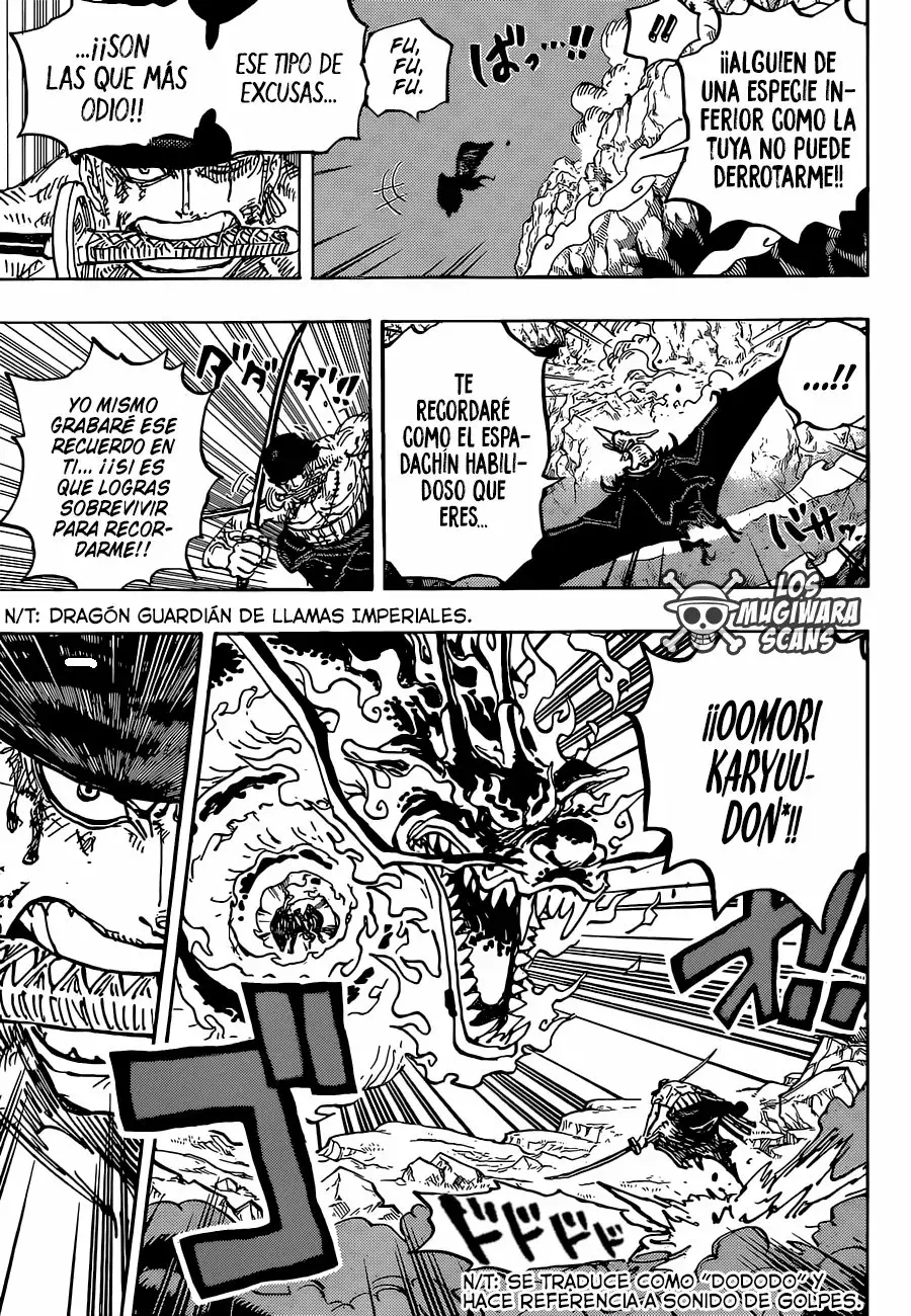 One Piece Capitulo 1035.5 página 17