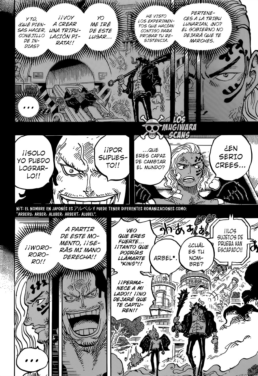 One Piece Capitulo 1035 página 13