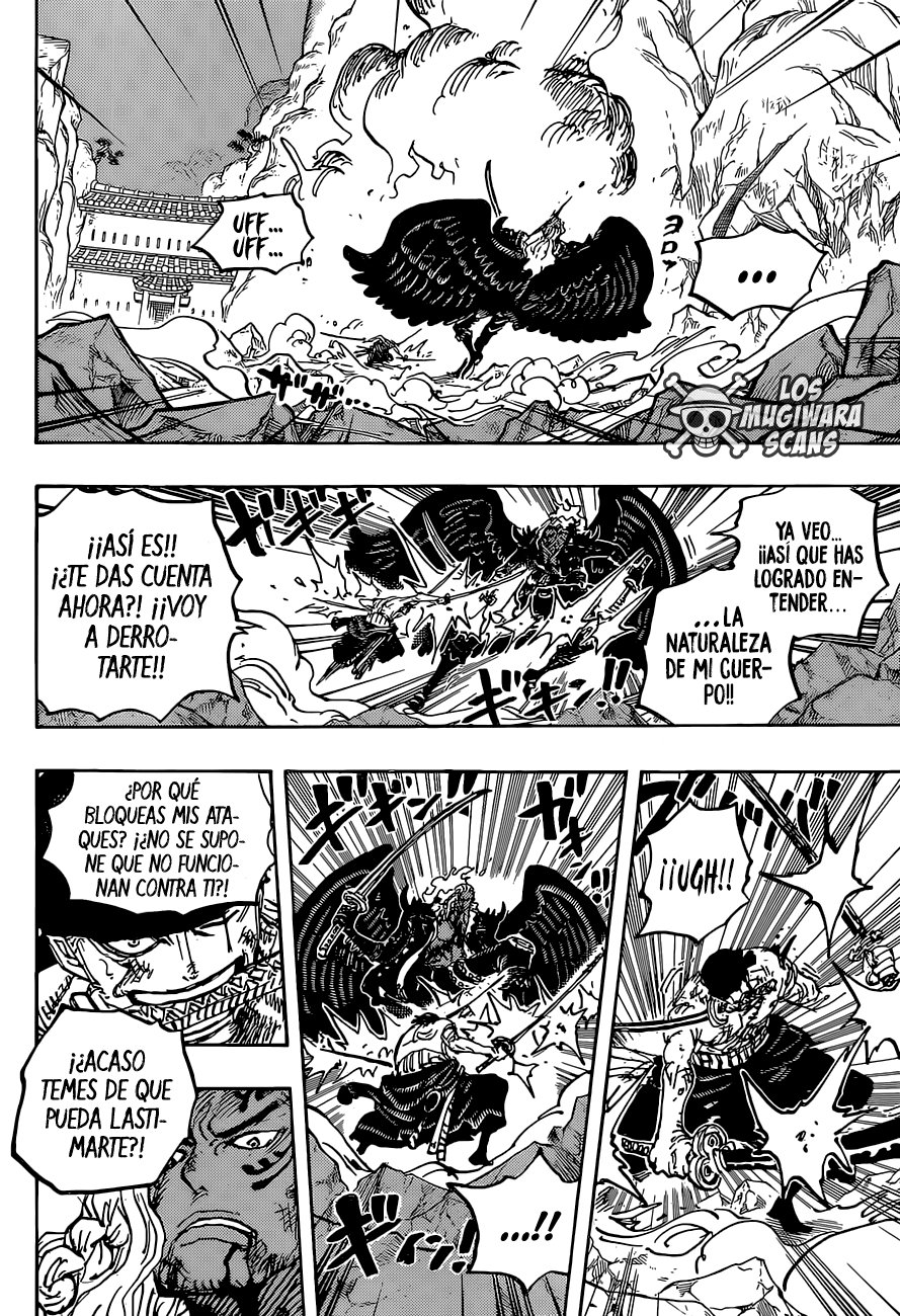 One Piece Capitulo 1035 página 17
