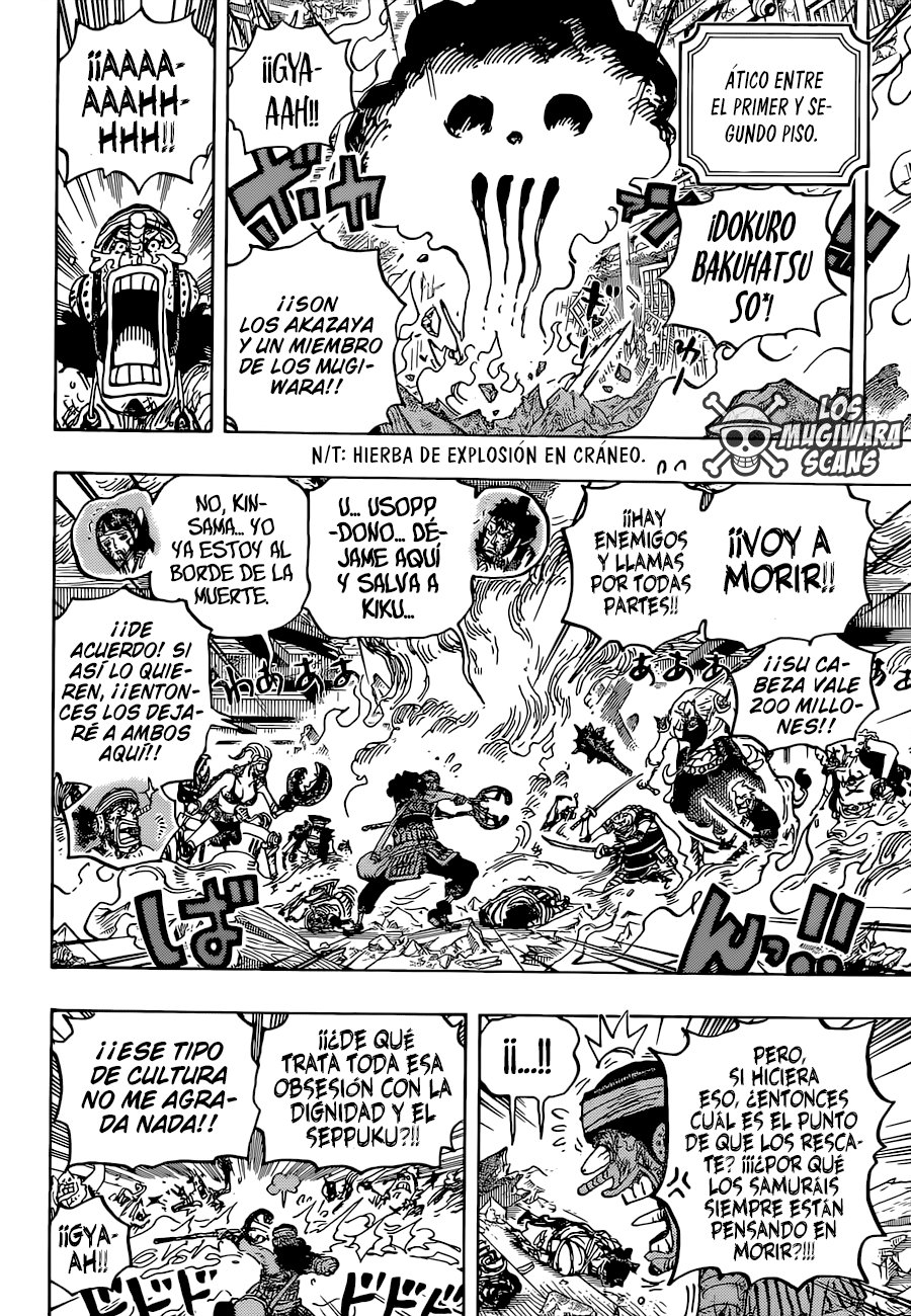 One Piece Capitulo 1036 página 12