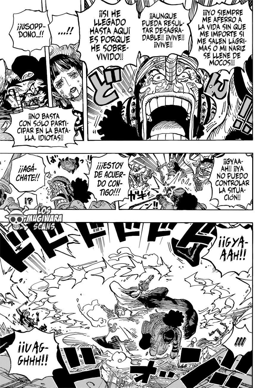 One Piece Capitulo 1036 página 13