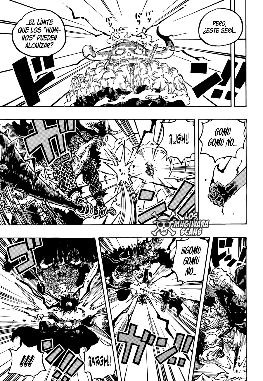 One Piece Capitulo 1036 página 19